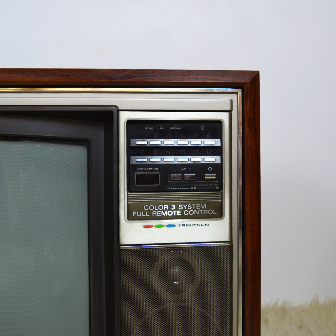 Vintage Trinitron Color Tv Sony Model Kv 2032me Rent Only